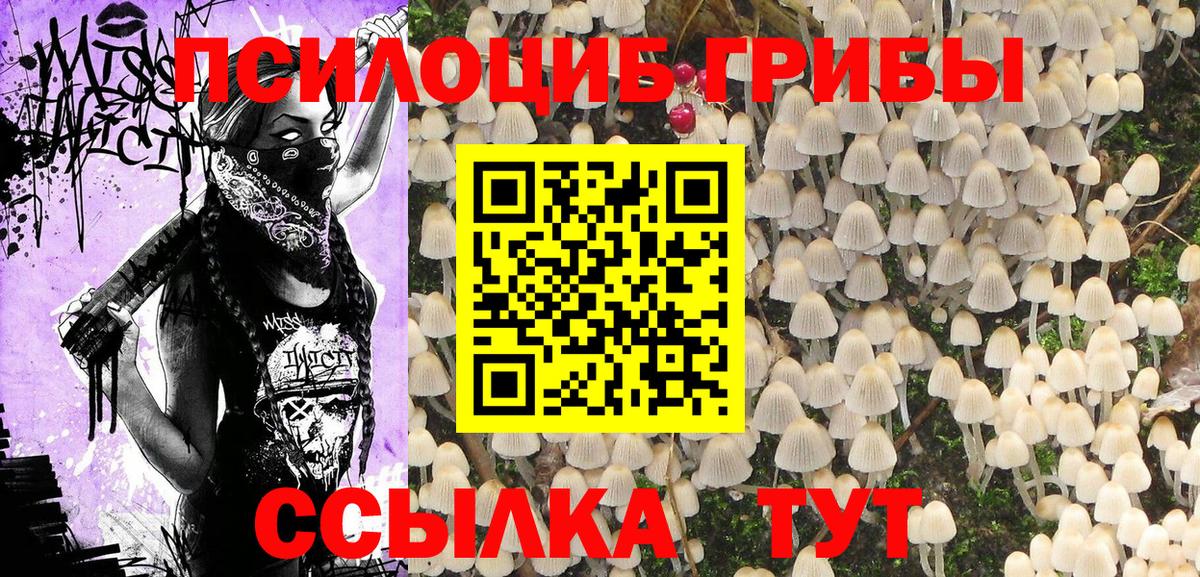 Псилоцибиновые грибы Cubensis Химки